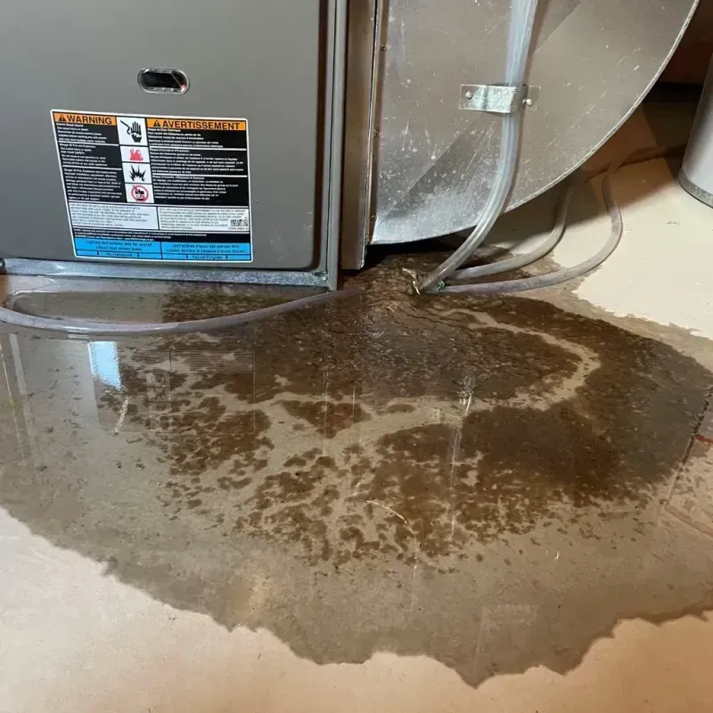 Appliance Leak Cleanup in Joanna, SC